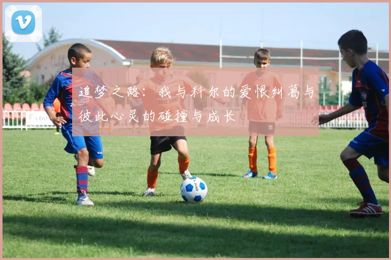 追梦之路：我与科尔的爱恨纠葛与彼此心灵的碰撞与成长