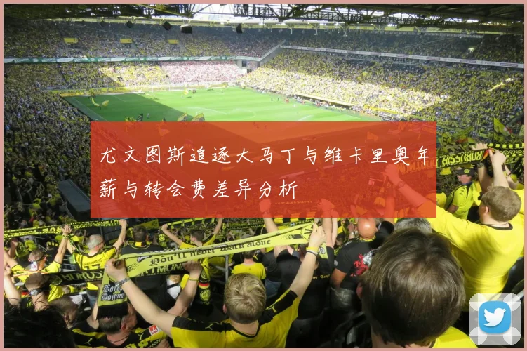 尤文图斯追逐大马丁与维卡里奥年薪与转会费差异分析