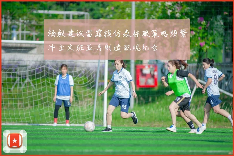 杨毅建议雷霆模仿森林狼策略频繁冲击文班亚马制造犯规机会